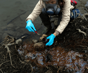Sewage Contaminated Soil Treatment And Disposal